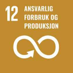 fn bærekraftsmål bærekraft 12 dokkadeltaet